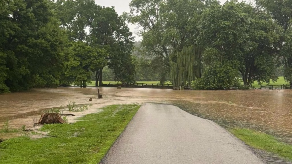 A flooded road, representing what to do in the first 24 hours after a flood
