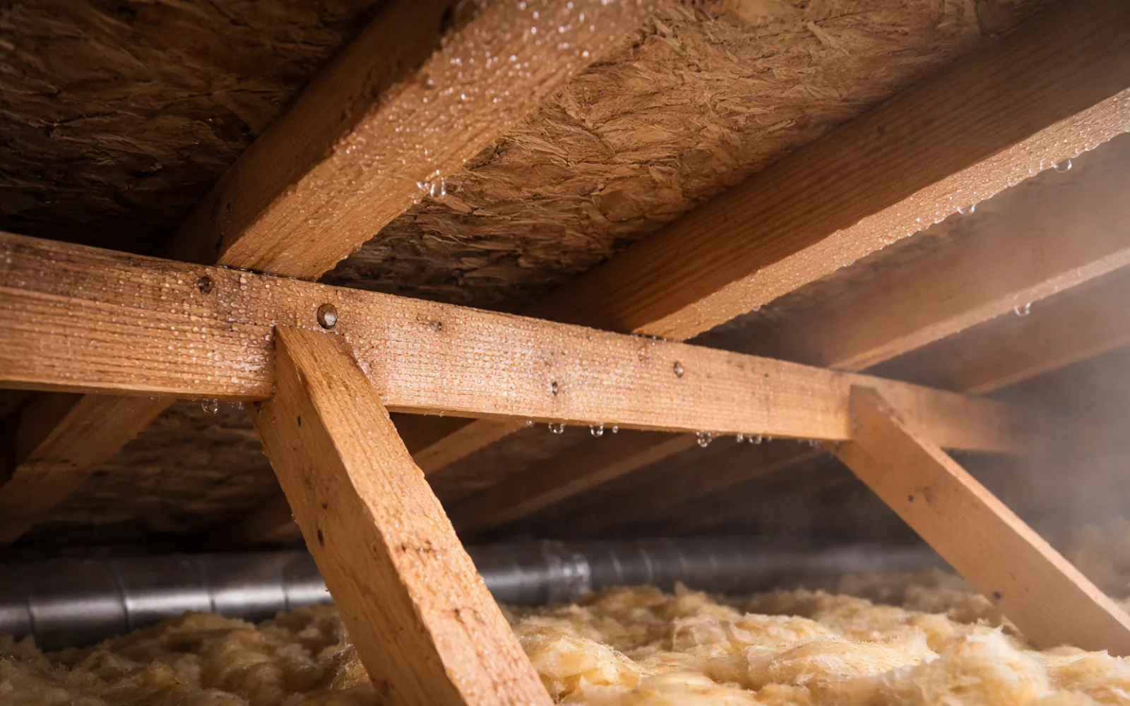 Attic condensation causing mold growth in a Lexington home