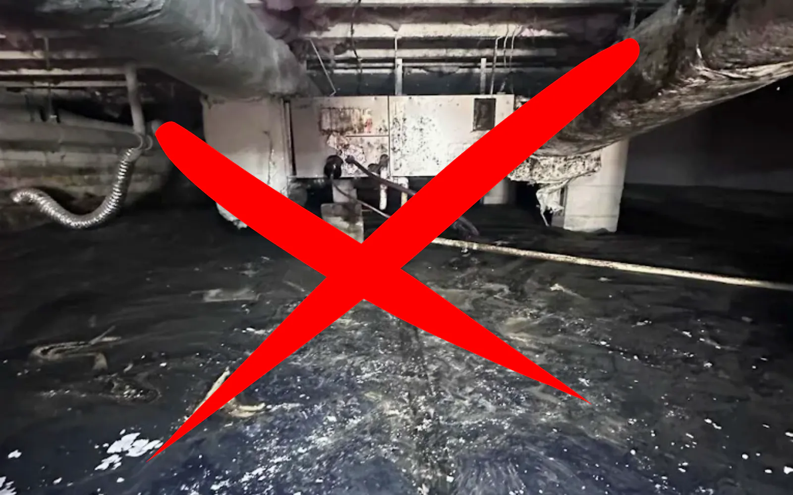 A significantly moldy crawlspace in a Lexington home