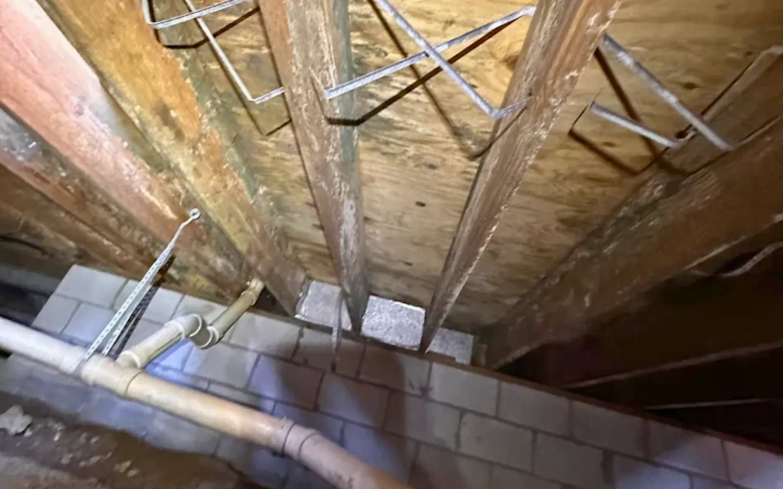 Moldy crawlspace representing the need for crawlspace barriers in Lexington KY