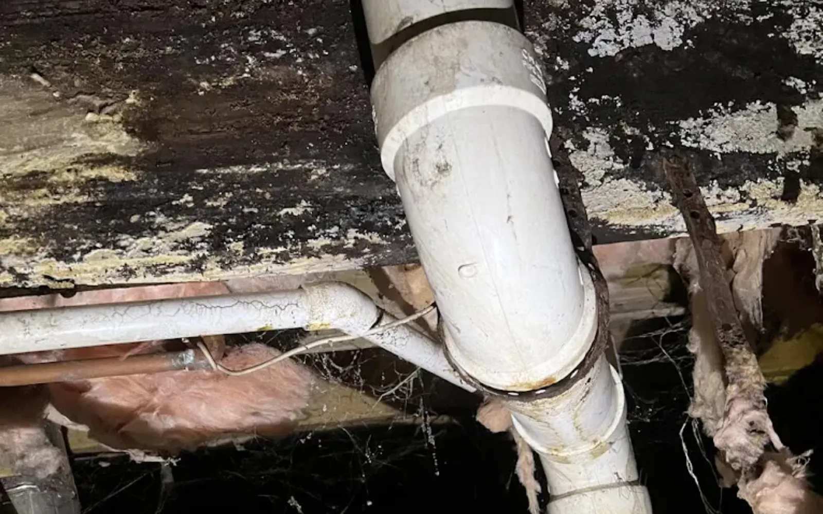 Significant mold growth on crawlspace wooden beams in Lexington