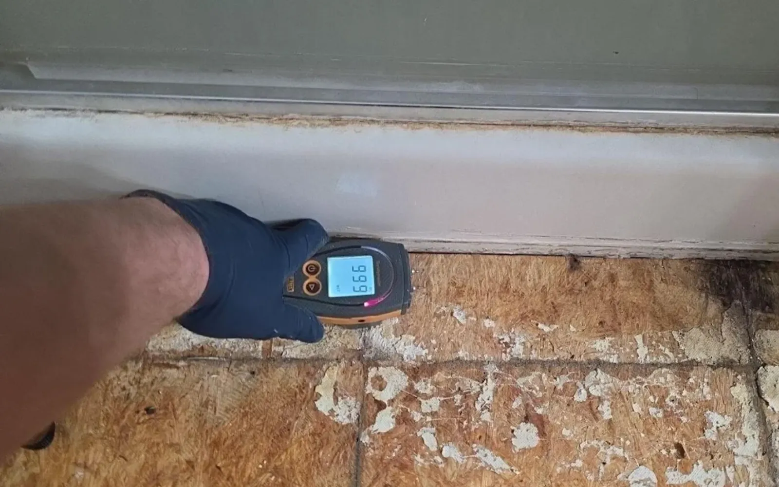 A Spotless mold technician using a water meter, representing Spotless' indoor air quality services in Lexington