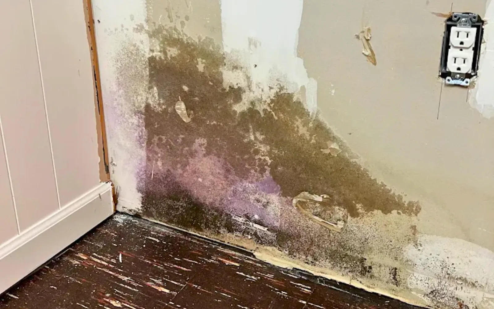 Mold growth behind a kitchen unit, representing mold testing pricing in Lexington KY