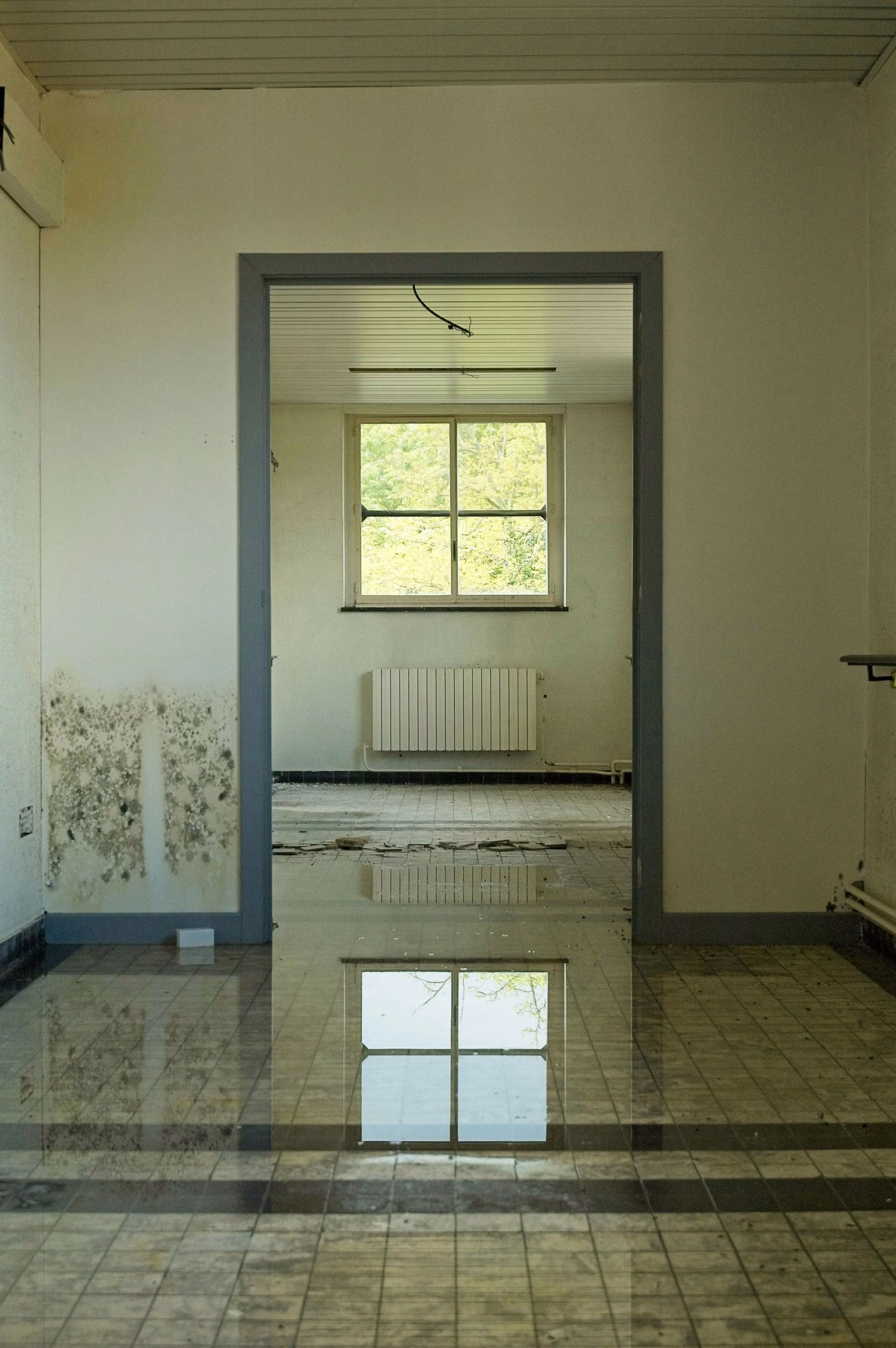 A flooded room with a foot of water covering the floor, representing how water damage leads to mold