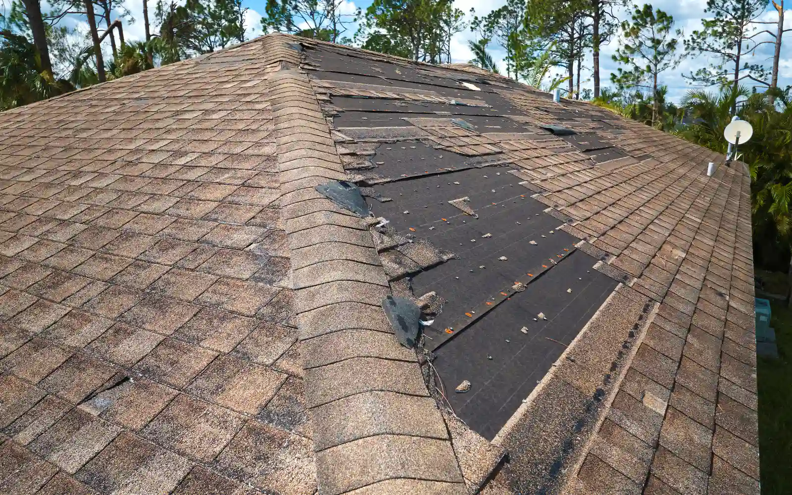 A roof missing tiles resulting in significant roof leaks and mold growth requiring Lexington mold remediation