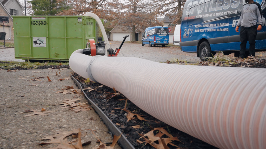 Mold removal in Lexington