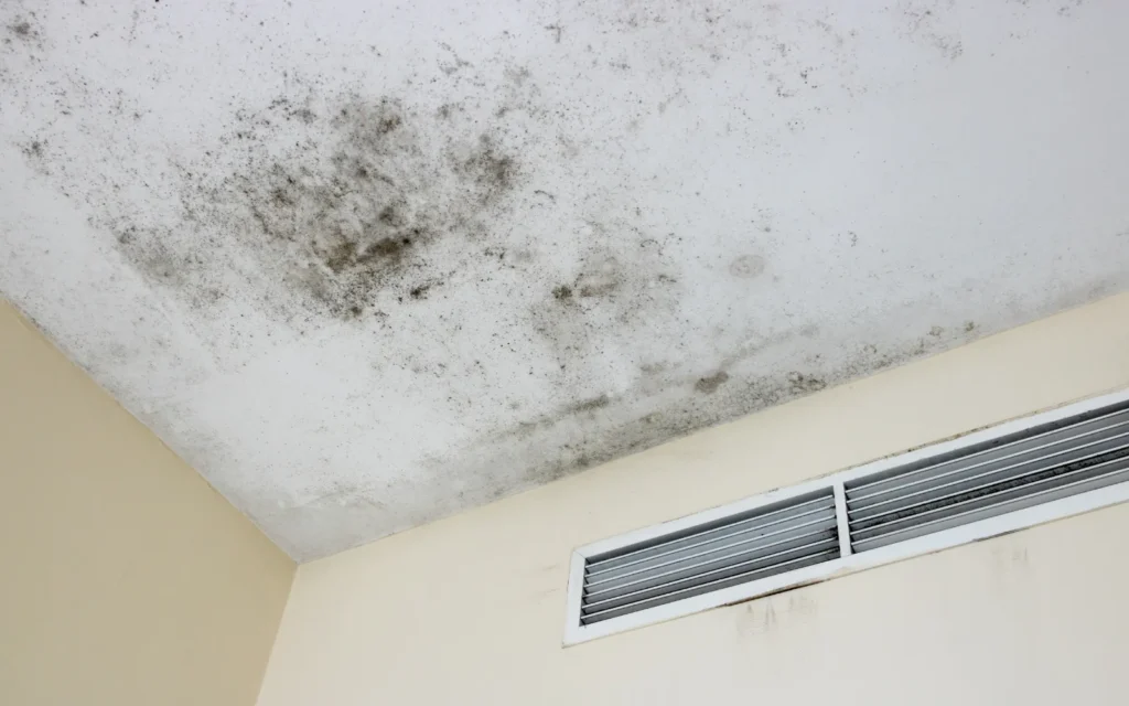 Black mold growing on a ceiling next to an HVAC vent