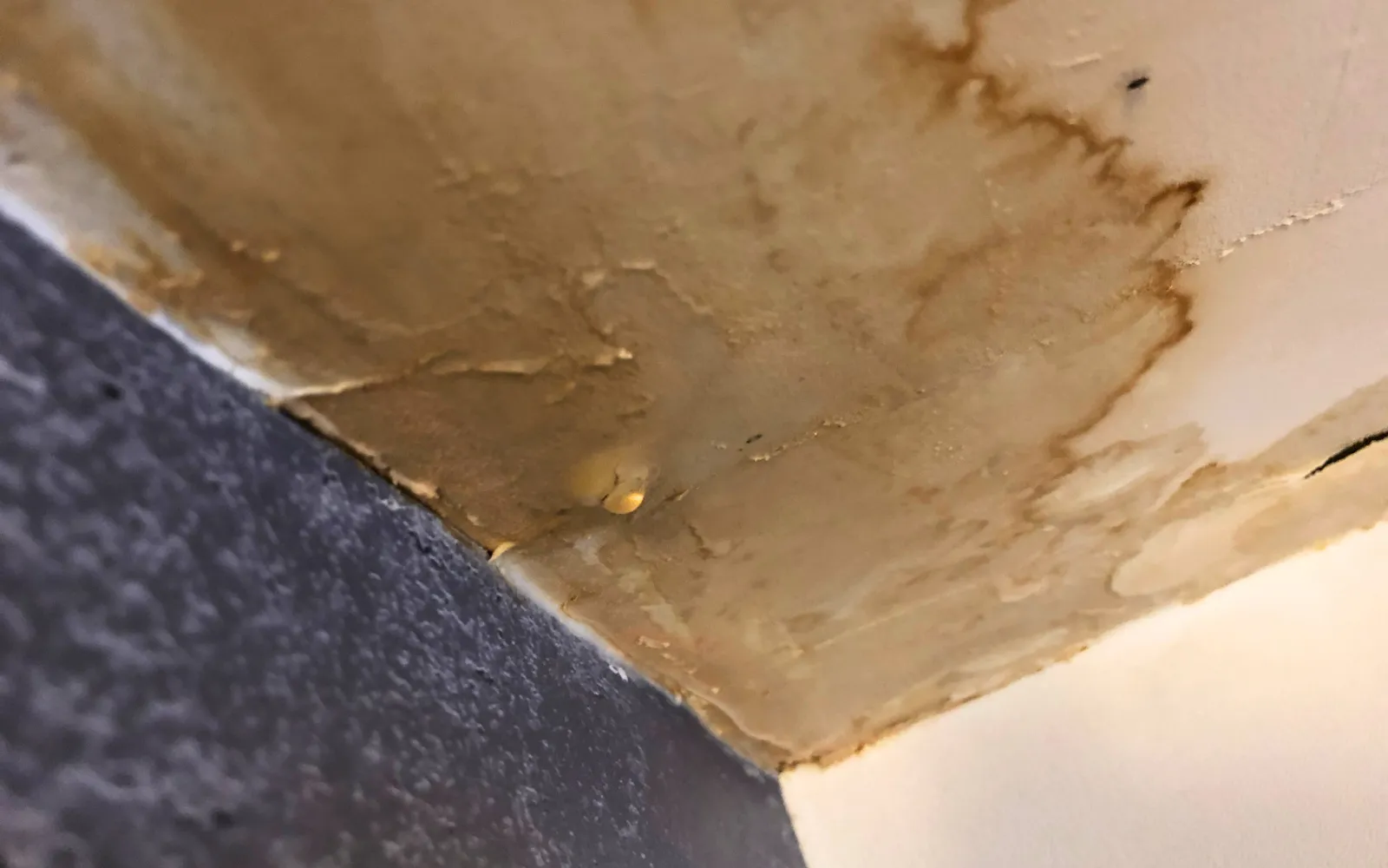 A water damaged ceiling showing visible staining in a property in Lexington, KY